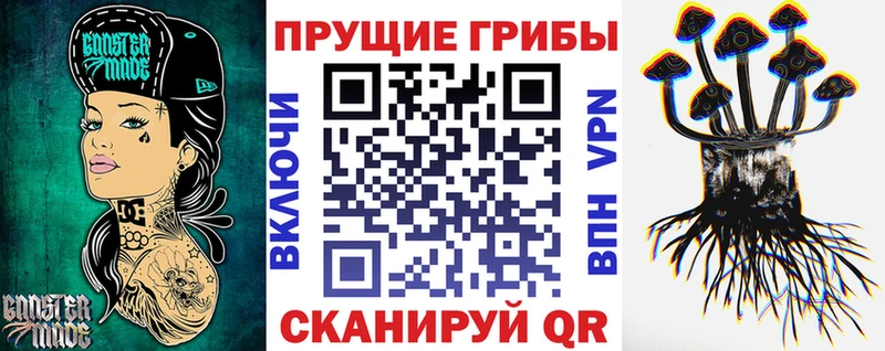 даркнет наркотические препараты  Фурманов  Псилоцибиновые грибы Magic Shrooms  omg  